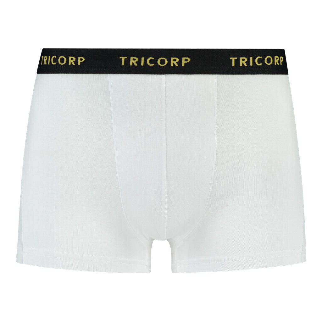 White_01
