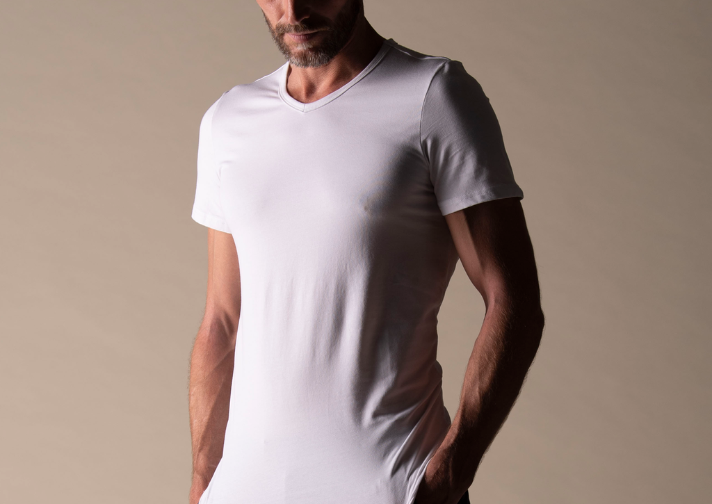 Model_White