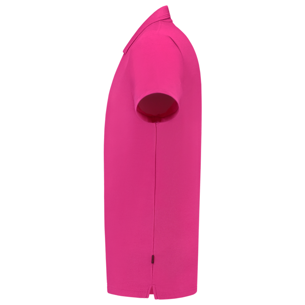 Fuchsia_04