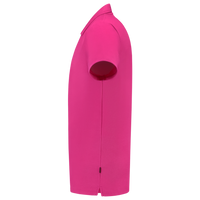 Fuchsia_04