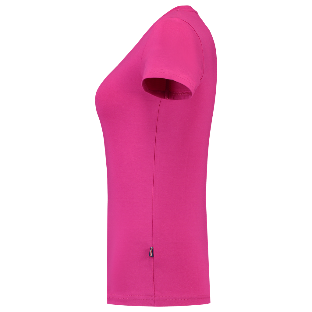 Fuchsia_04