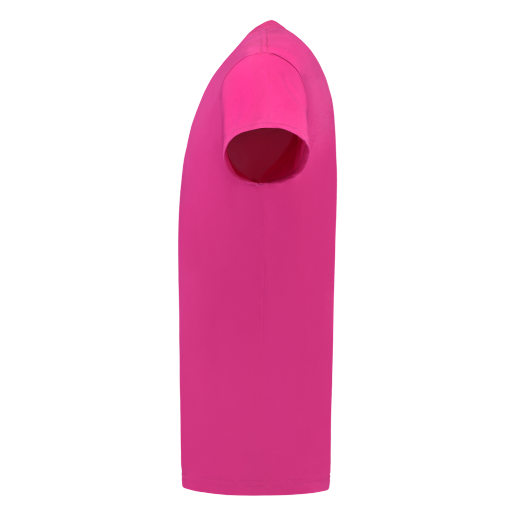 Fuchsia_04
