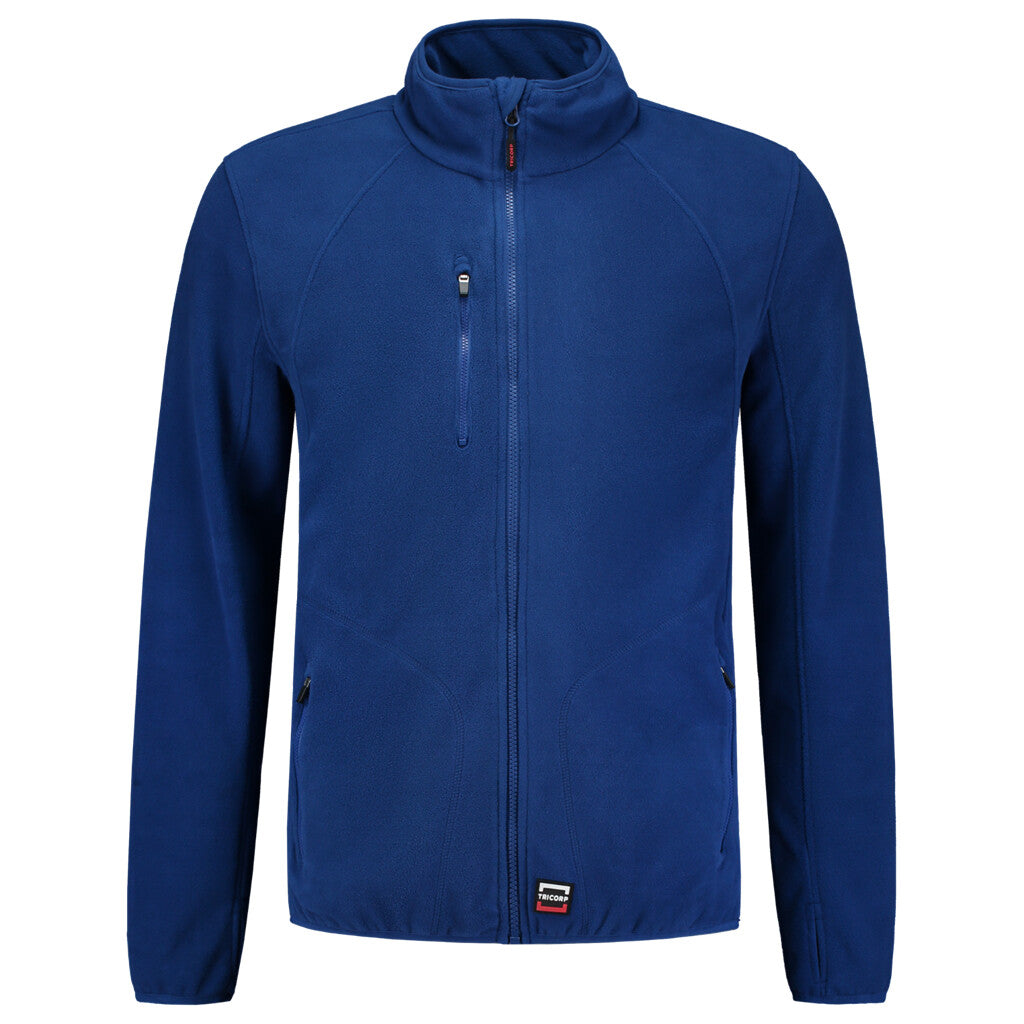 Royal_Blue_02
