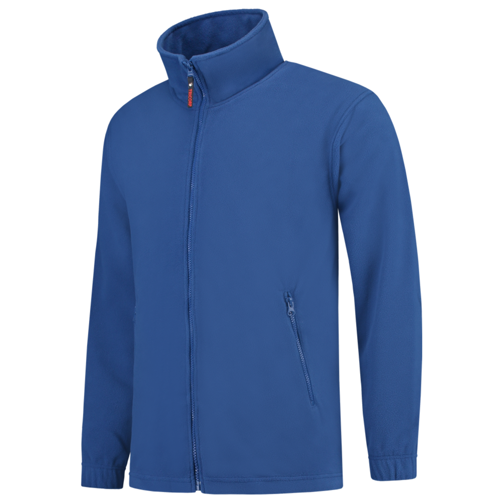 Royal_Blue_01