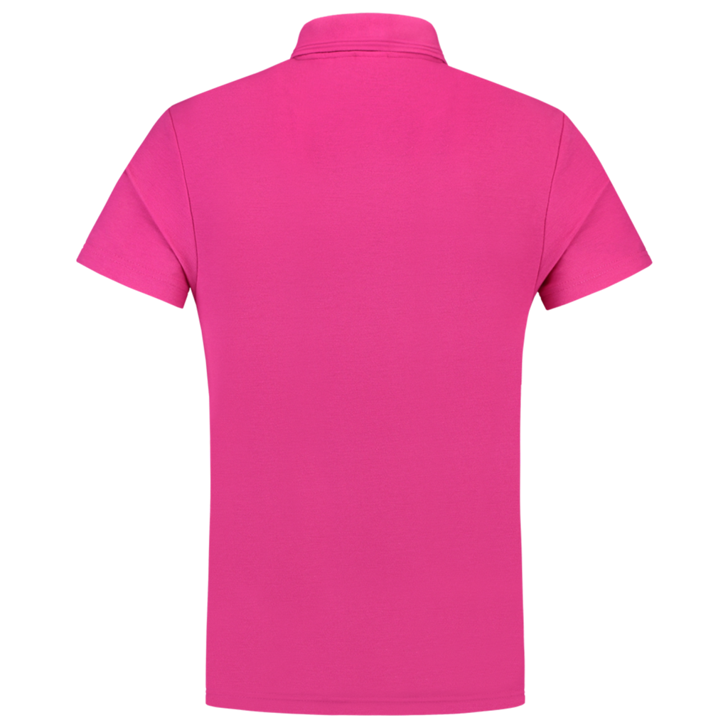 Fuchsia_03