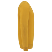 Curry_05