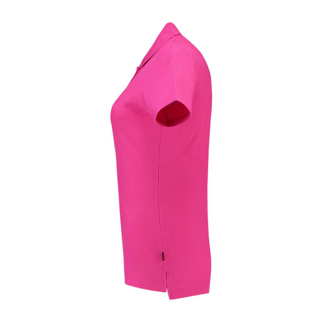 Fuchsia_04