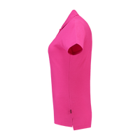 Fuchsia_04