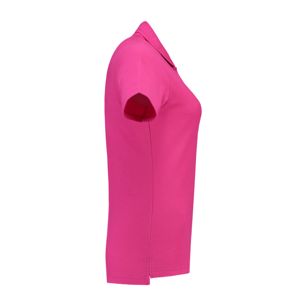 Fuchsia_05