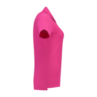 Fuchsia_05