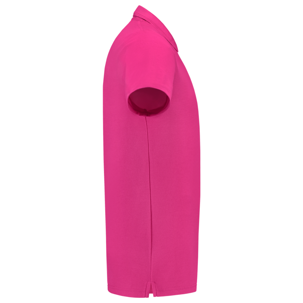 Fuchsia_05