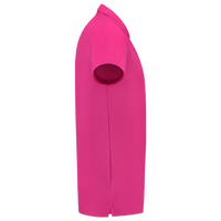 Fuchsia_05