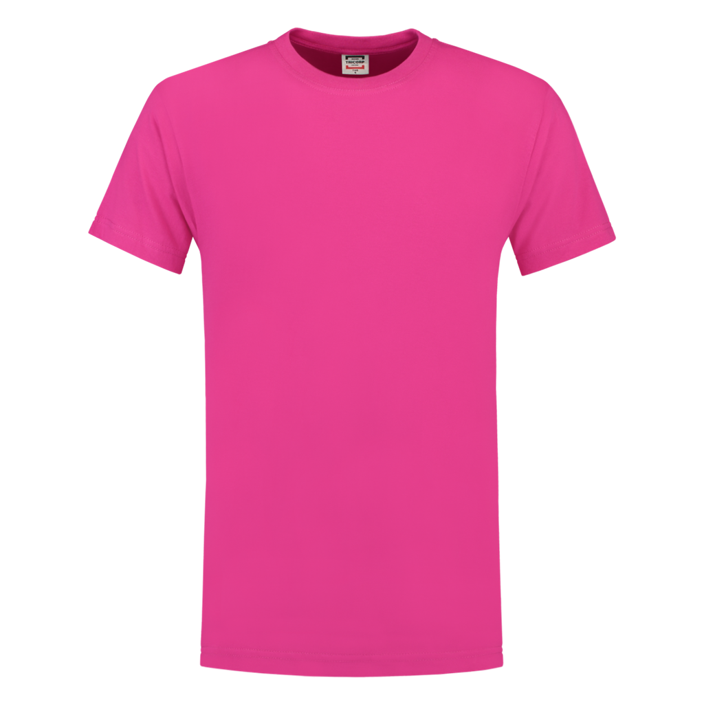 Fuchsia_02