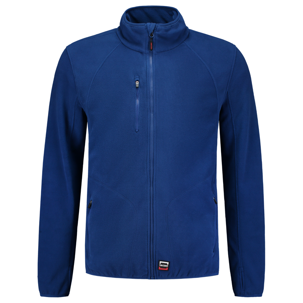 Royal_Blue_02
