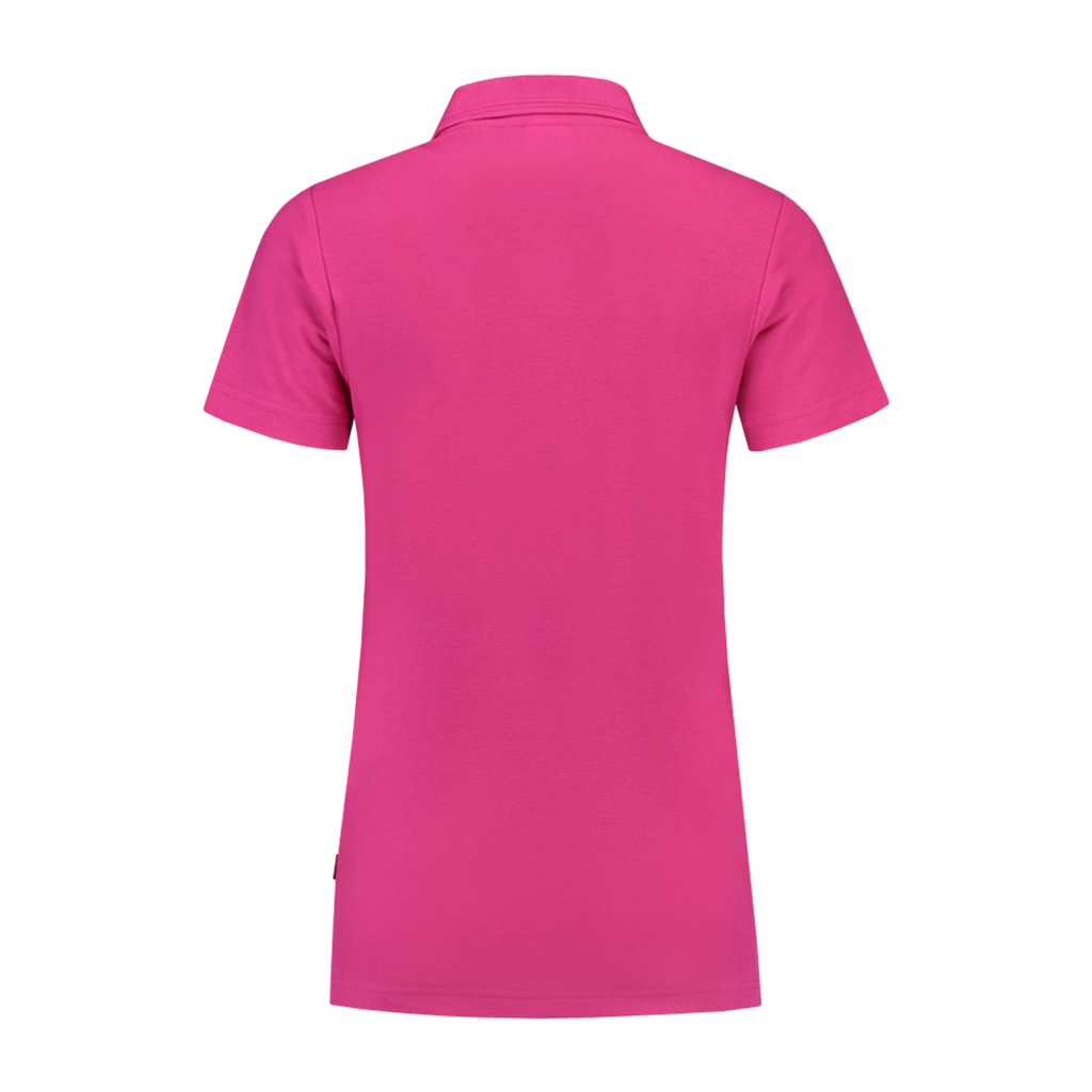 Fuchsia_03