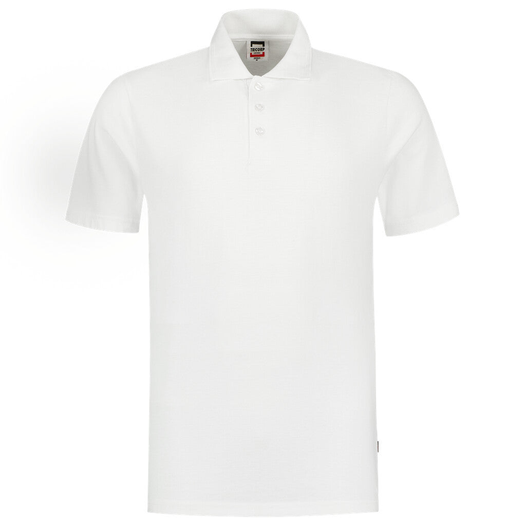 White_02