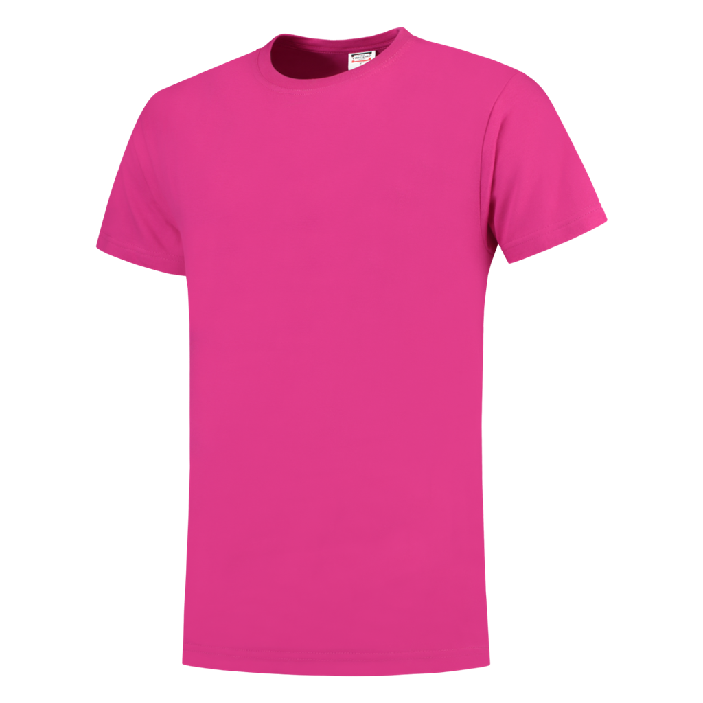 Fuchsia_01