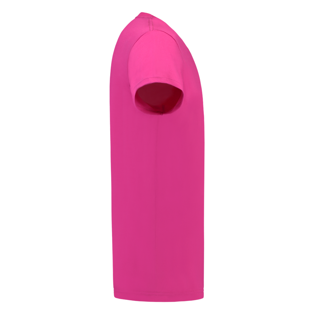 Fuchsia_05