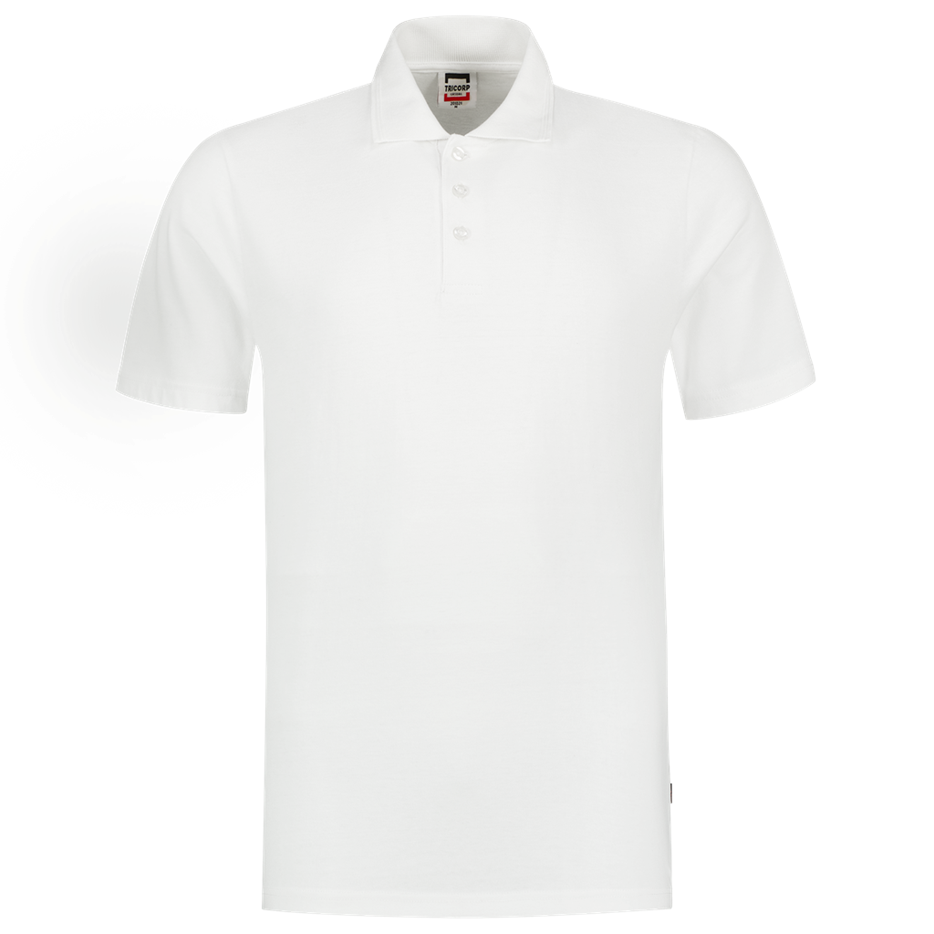 White_02