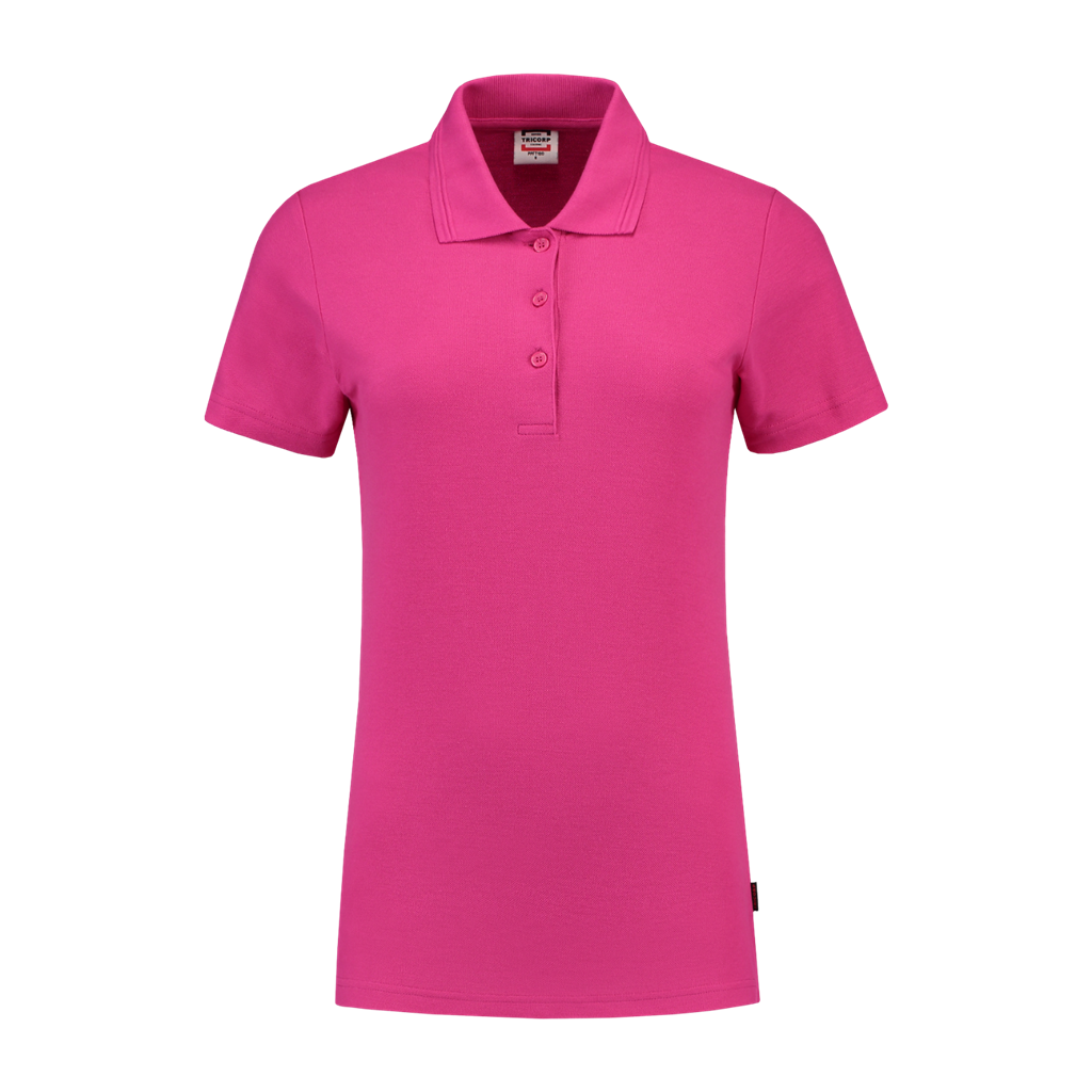 Fuchsia_02