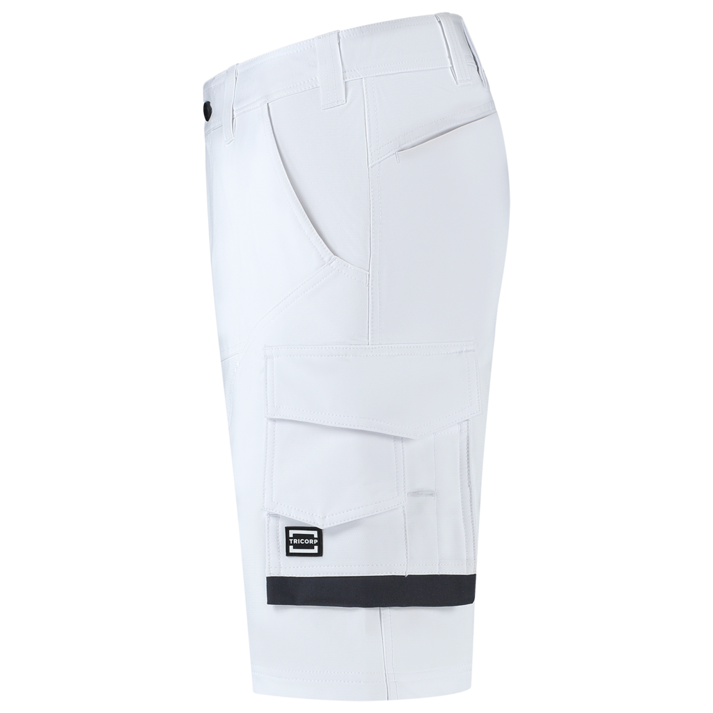 White_04