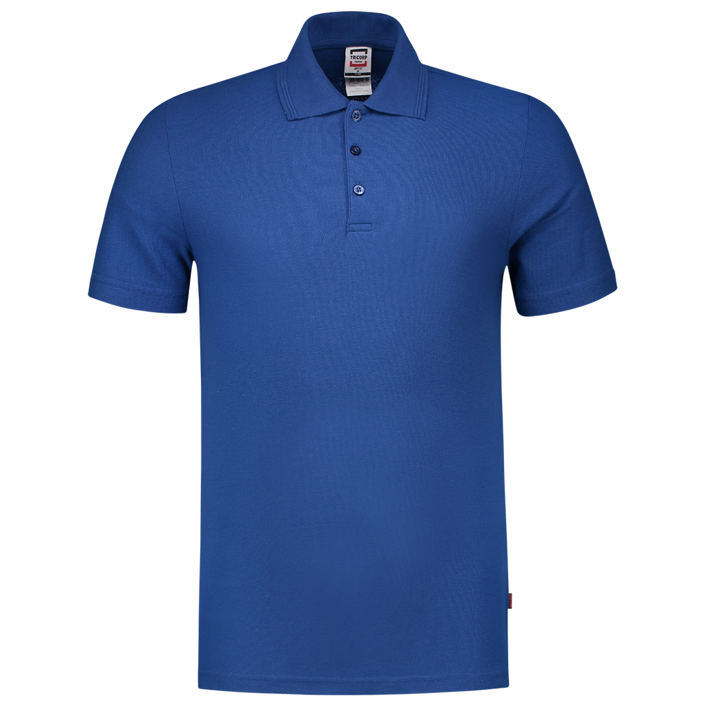 Royal_Blue_02
