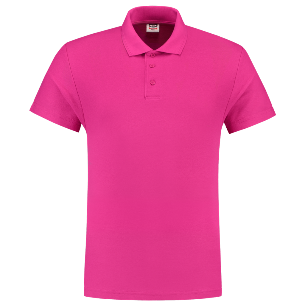 Fuchsia_02