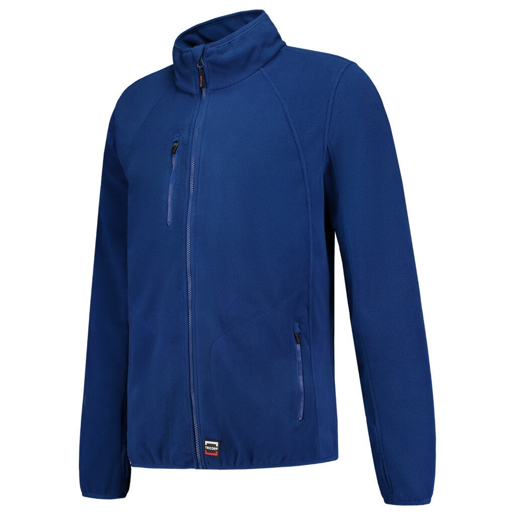 Royal_Blue_01