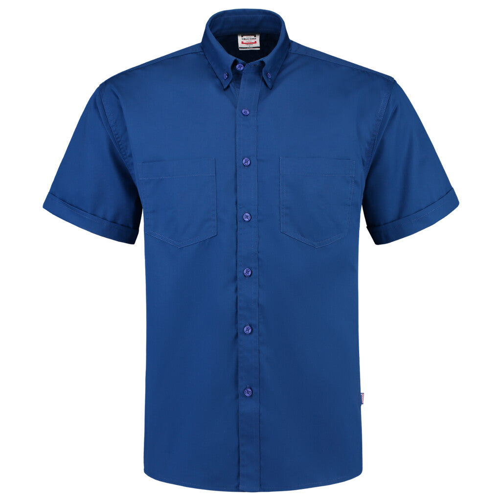 Royal_Blue_02