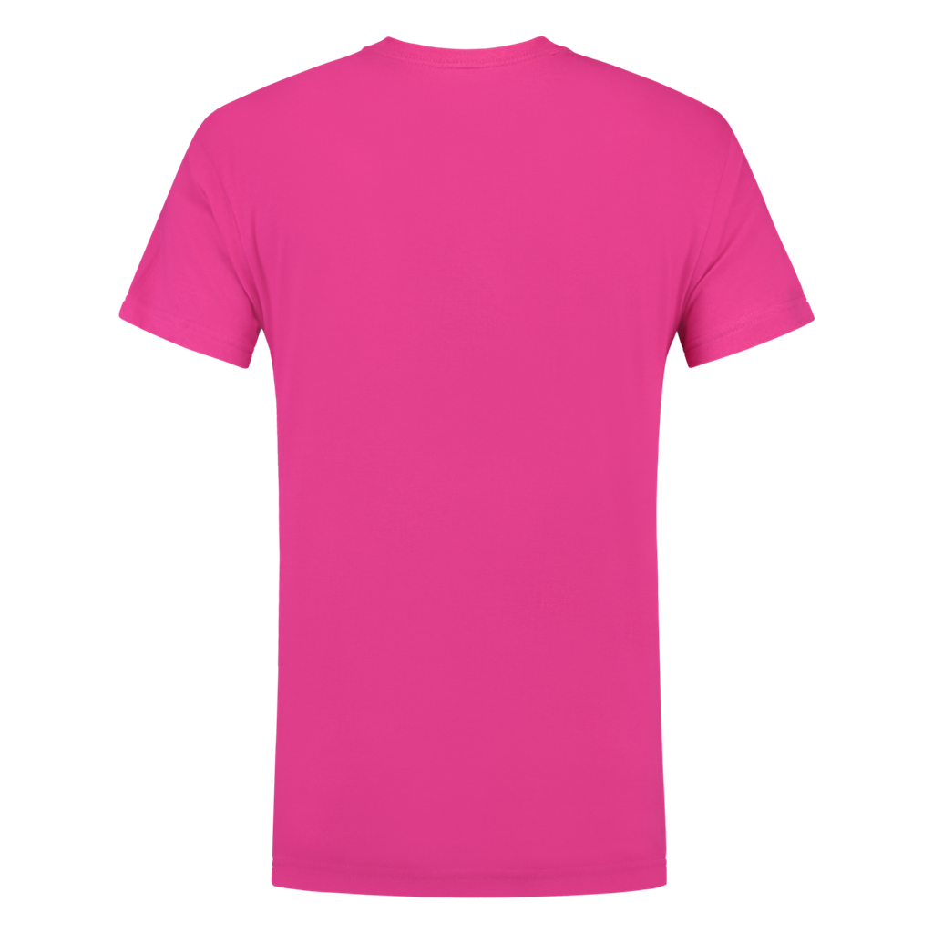 Fuchsia_03