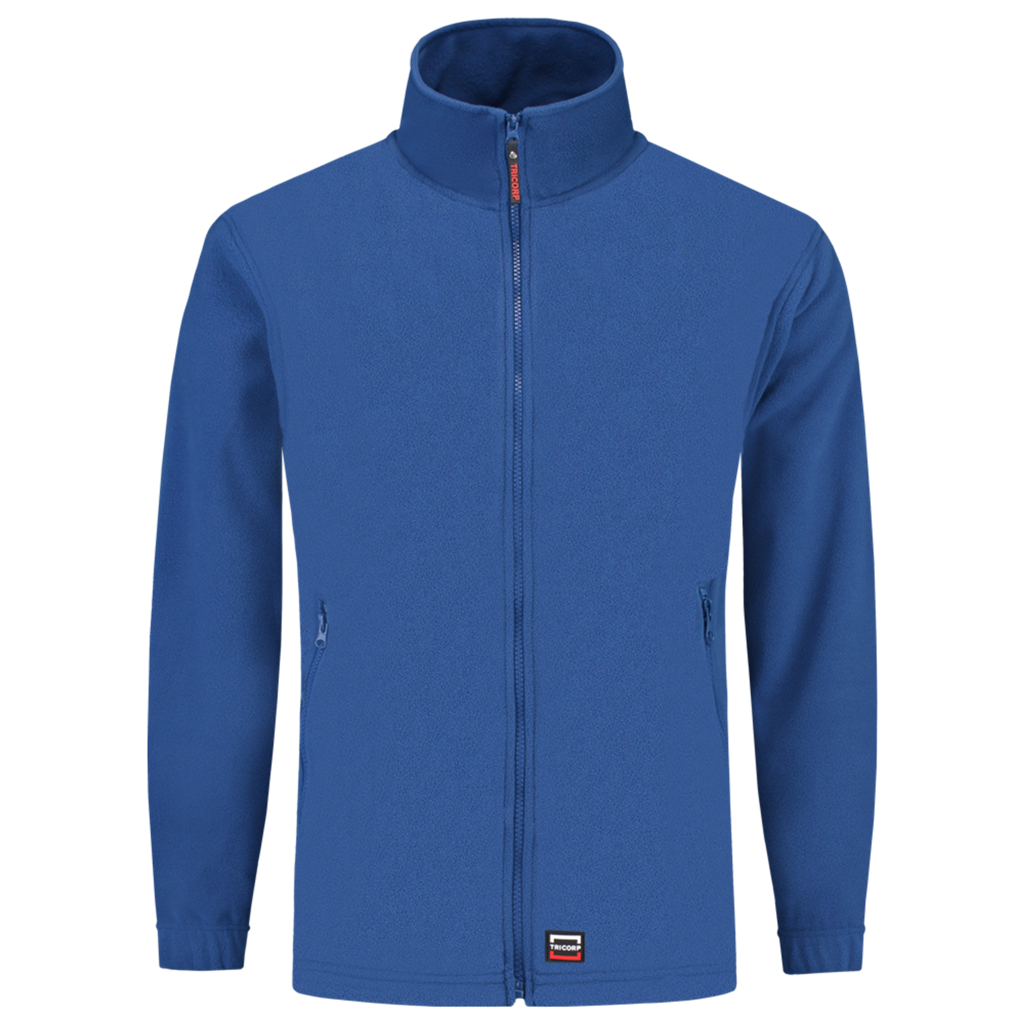 Royal_Blue_02